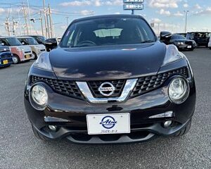 NISSAN JUKE 2016